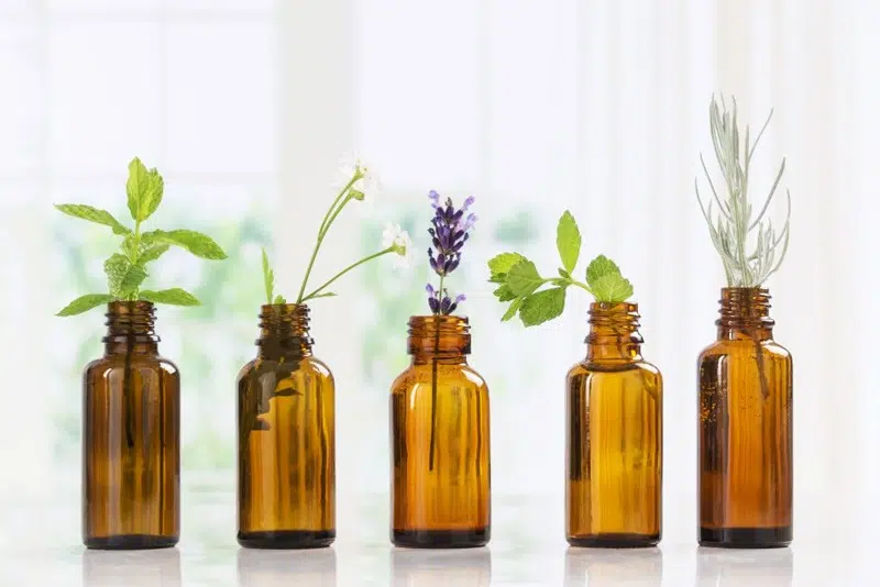 3 huiles essentielles idéales pour un hiver zen