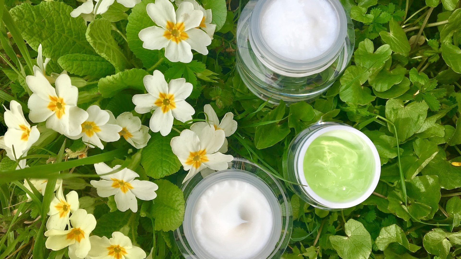 Les produits de beauté biologiques : pourquoi sont-ils si populaires ?