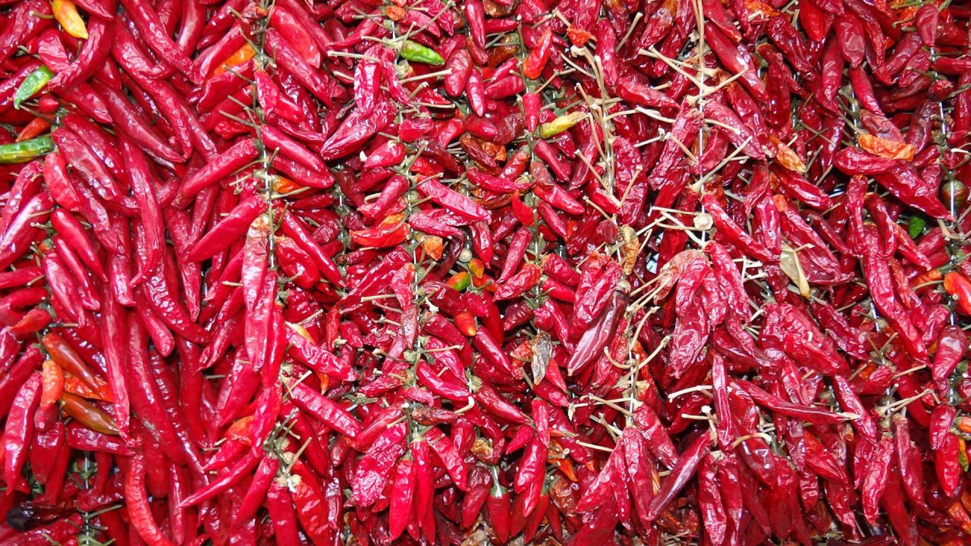 Que faut-il savoir sur le Viagra en 2022 ?