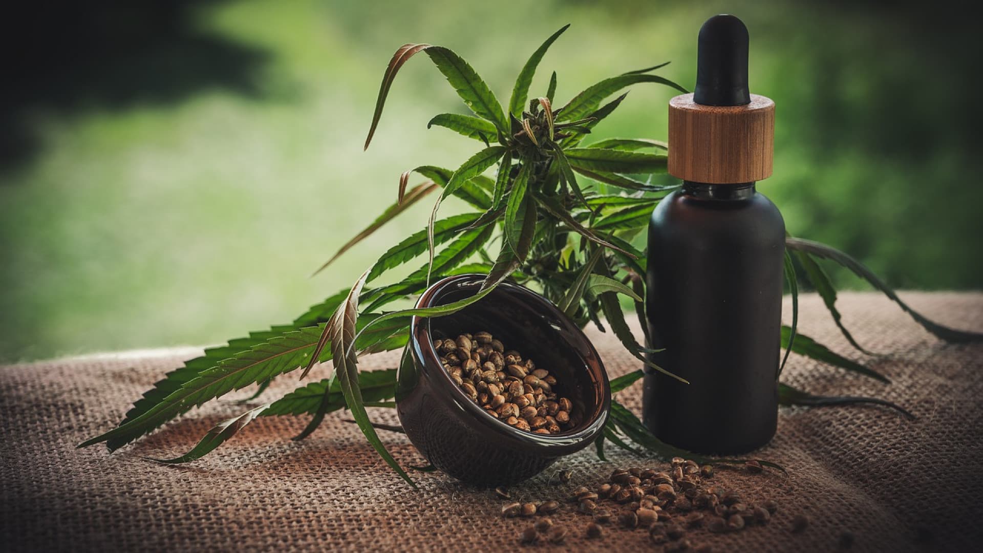 Quels sont les bienfaits de l'huile de CBD ?