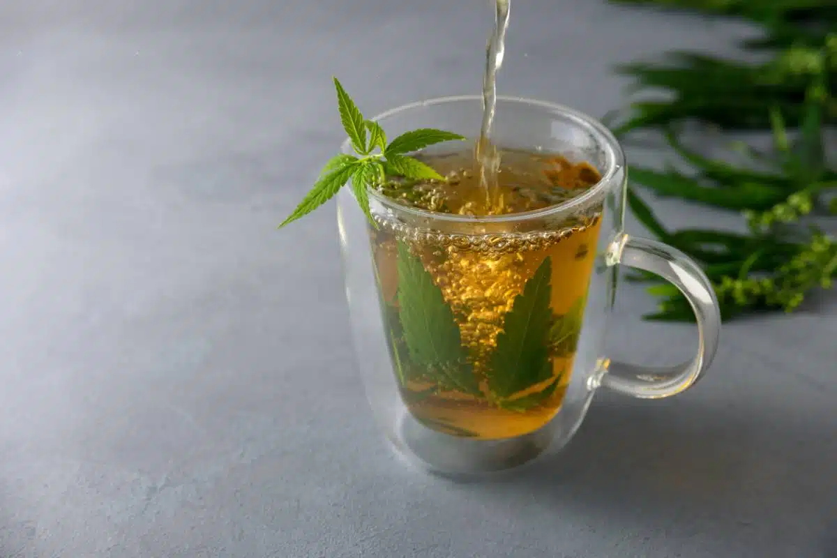 Quel dosage pour votre tisane au CBD ?